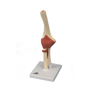 ��ǰ �����