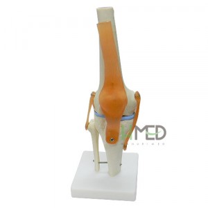 ��ǰ �����