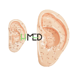 ��ǰ �����