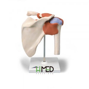 ��ǰ �����