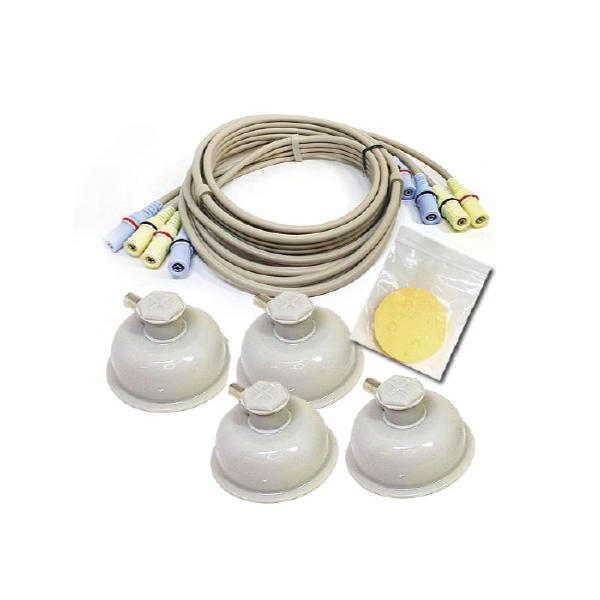 ��ǰ �����